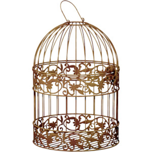 Cage, Jaula De Pájaro, Envas