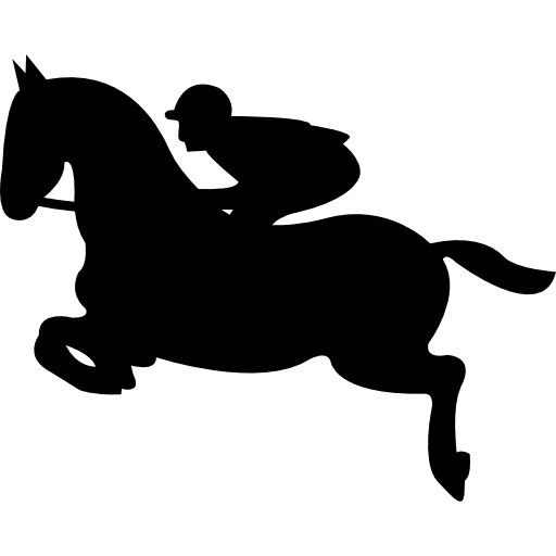 Jumping horse with jockey in 