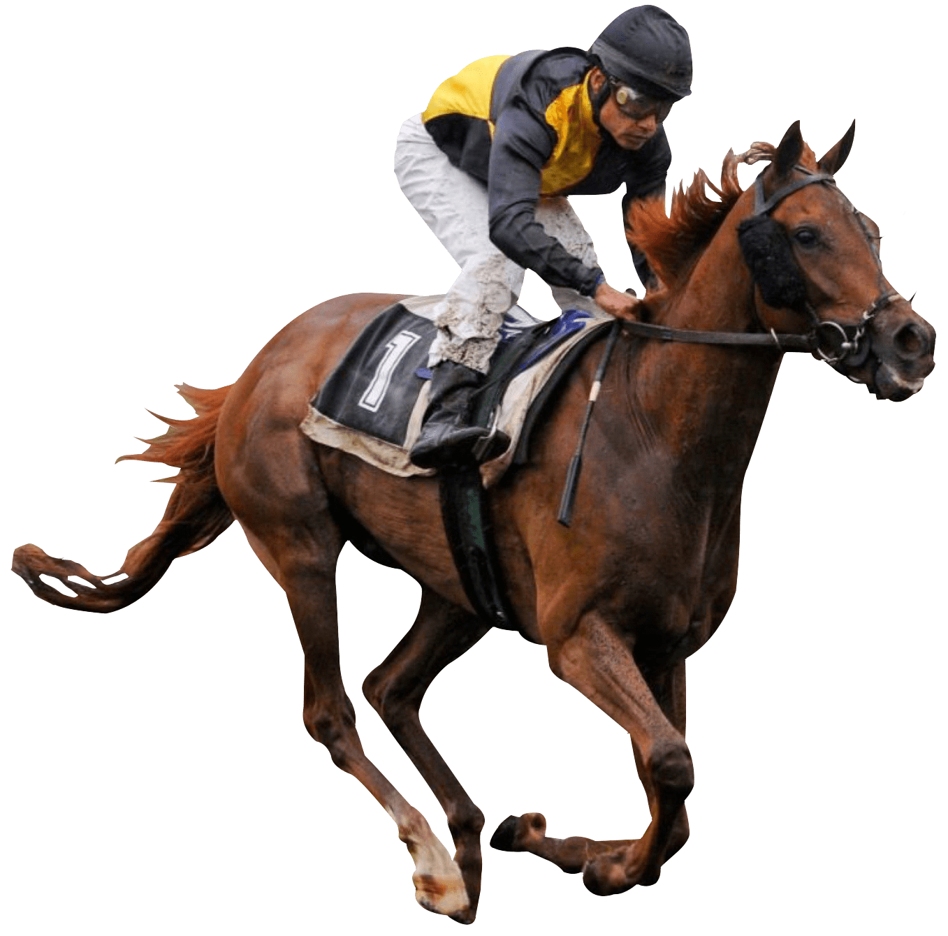 Collection of Jockey PNG Free. | PlusPNG