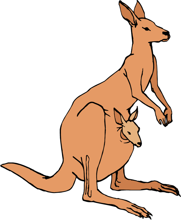 Jumping Kangaroo PNG - 48024