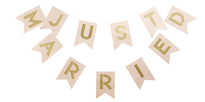 Just Married Banner PNG - 68296