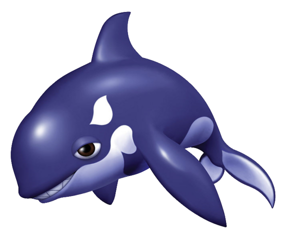 Killer Whale PNG - 14393