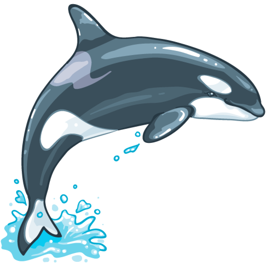 Killer Whale PNG - 14398