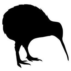 Kiwi Bird PNG - 26198