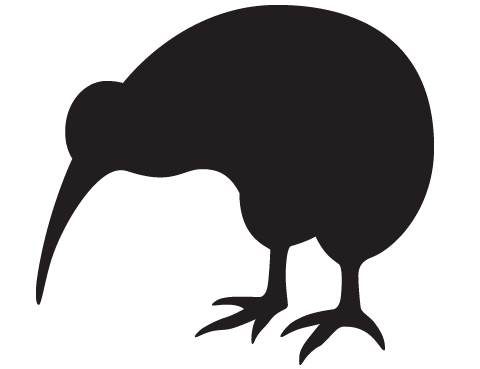 Kiwi Bird PNG - 26191