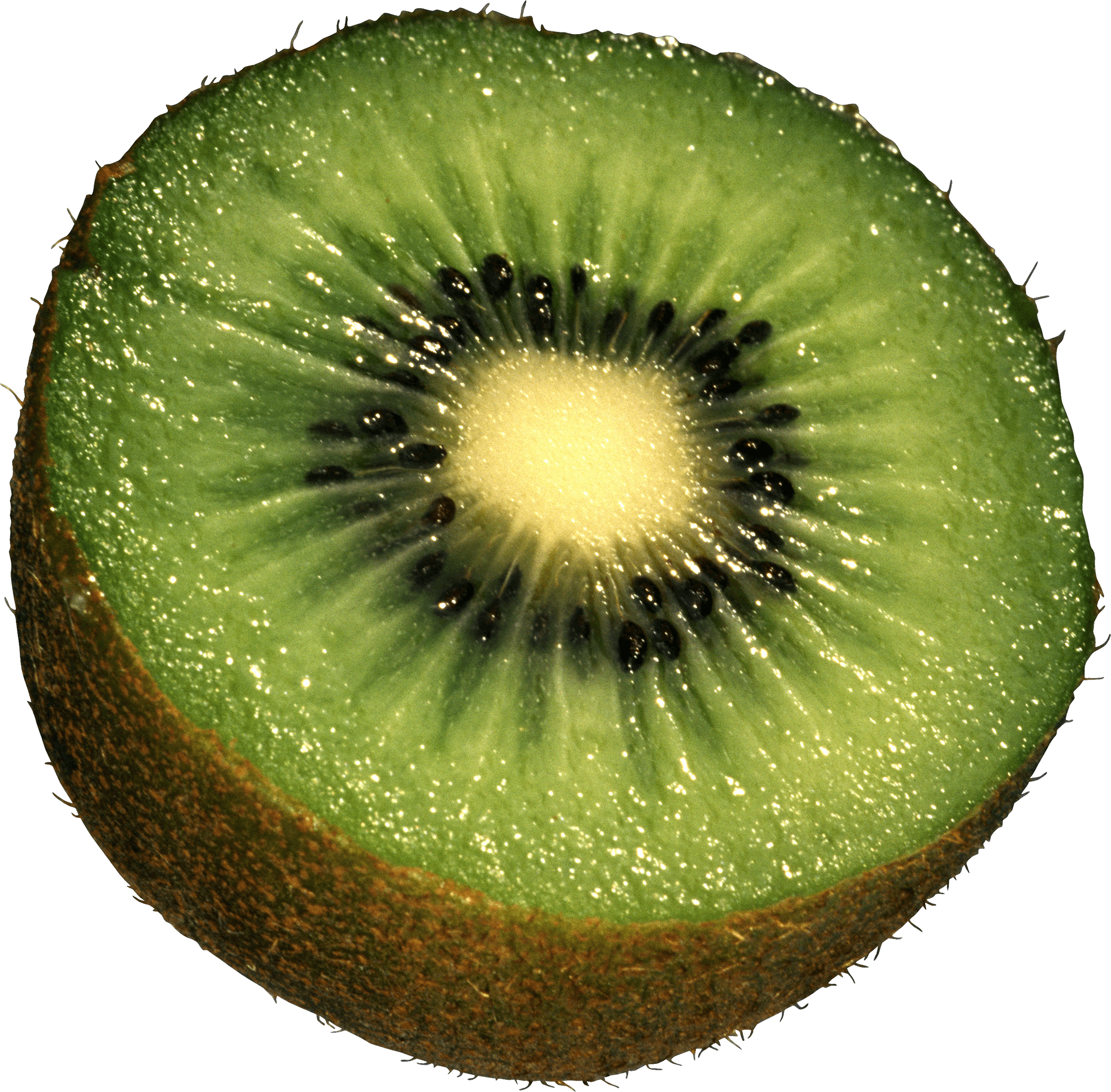 Collection of Kiwi HD PNG. | PlusPNG