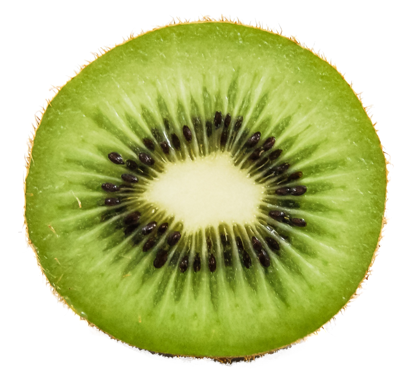 Slice of kiwi isolated on whi