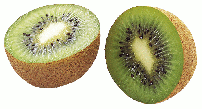 Kiwi Slice PNG - 44570