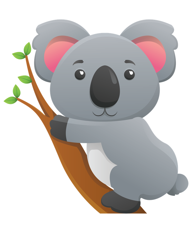 Koala HD PNG - 119011
