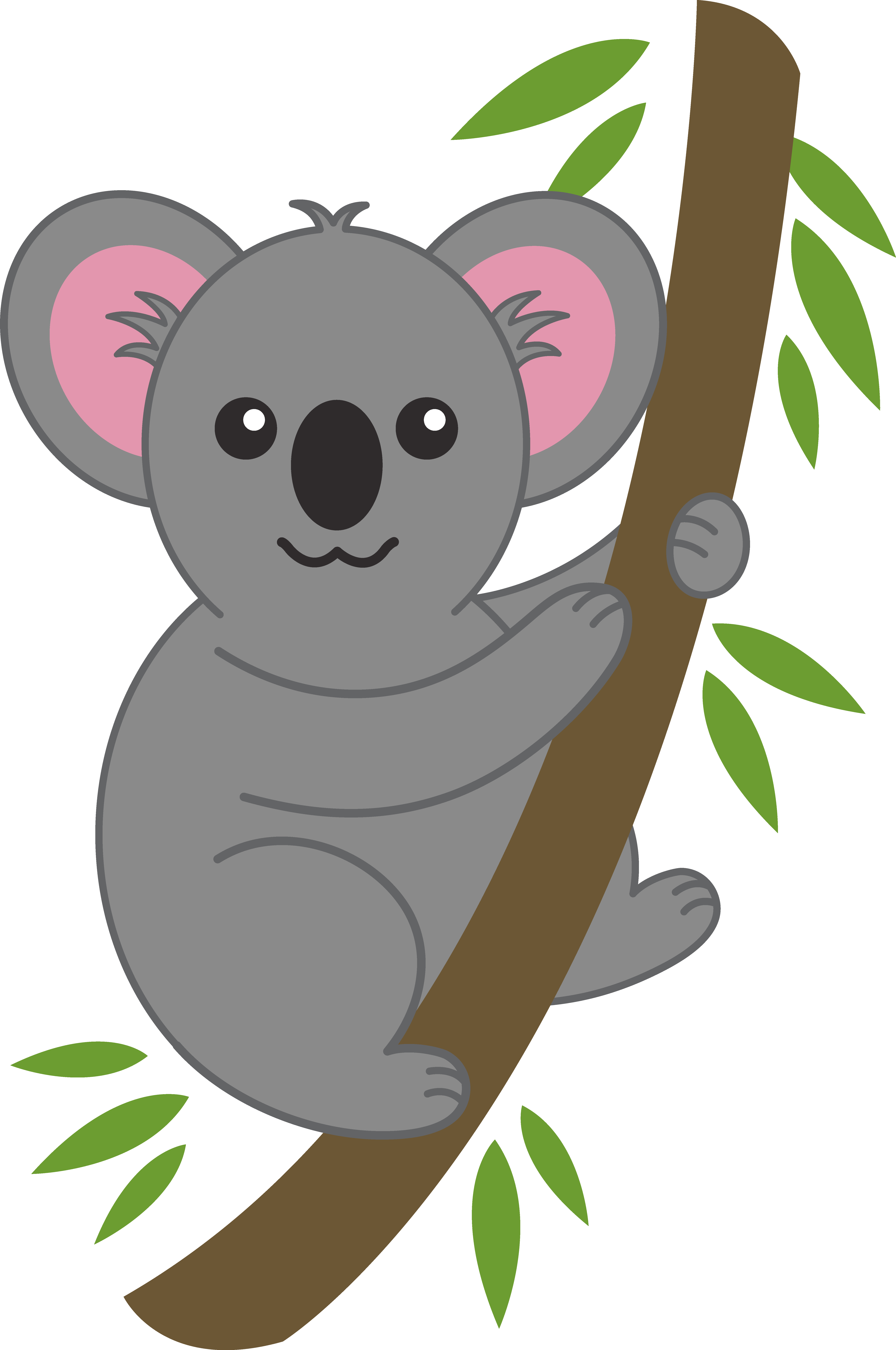 Koala HD PNG - 119015