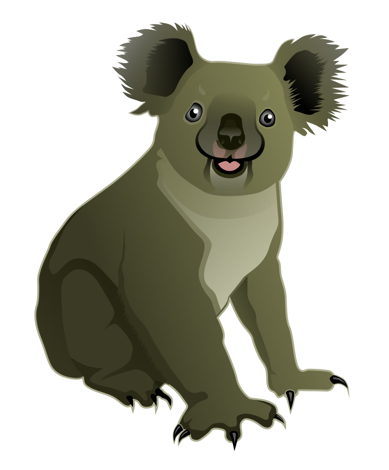 Koala HD PNG - 119014