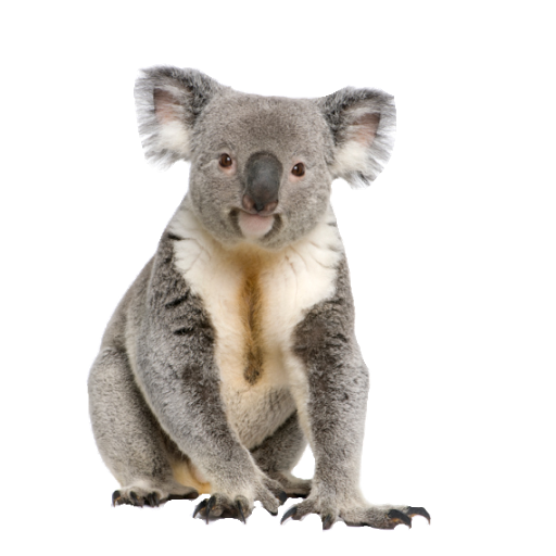 Koala Clip Art 1 - Koala Tree