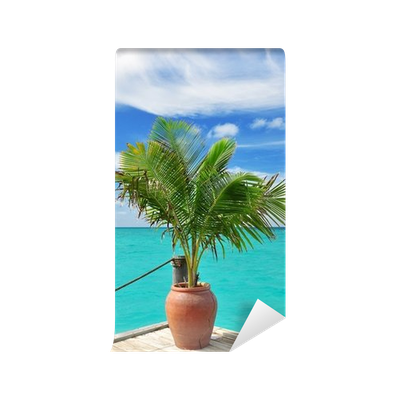 Palme, Kokospalme, Insel, See
