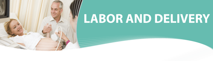 Labor Birth PNG - 138660