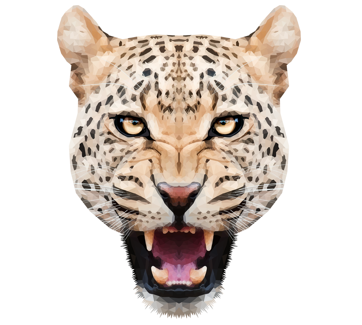Leopard HD PNG - 118731