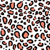 Leopard Print texture pattern