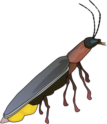 Lightning Bug PNG - 132969