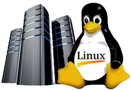 Linux Hosting Transparent PNG