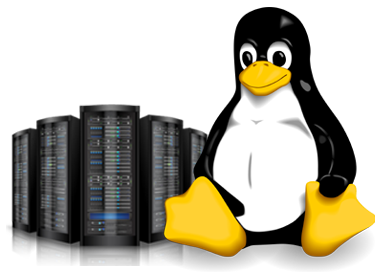 Linux Hosting PNG - 174398
