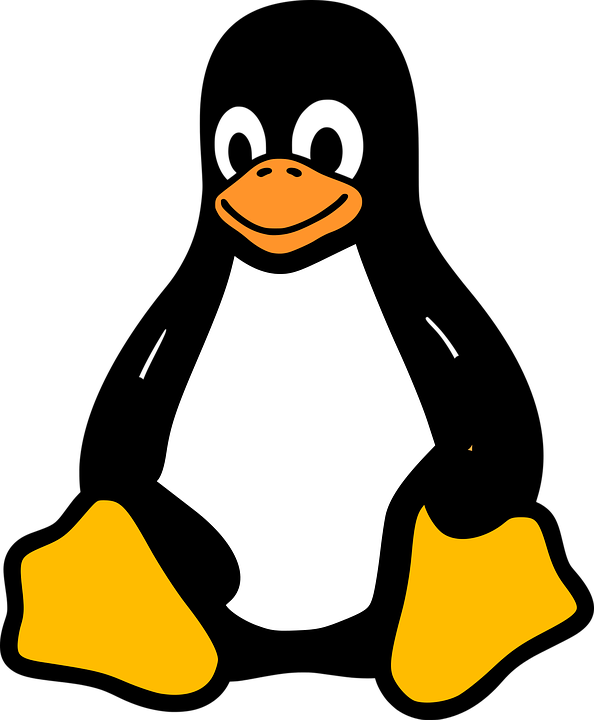 Penguin Tux Design Logo Linux