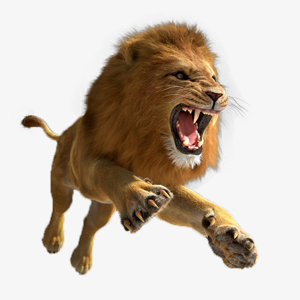 Lion And Den PNG - 158642