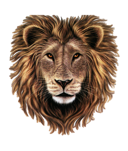 Tribal Lion Head by SparkyThe