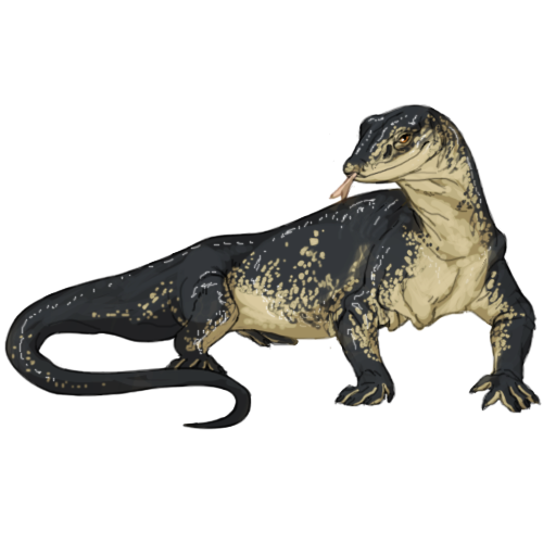 Lizard PNG - 26261