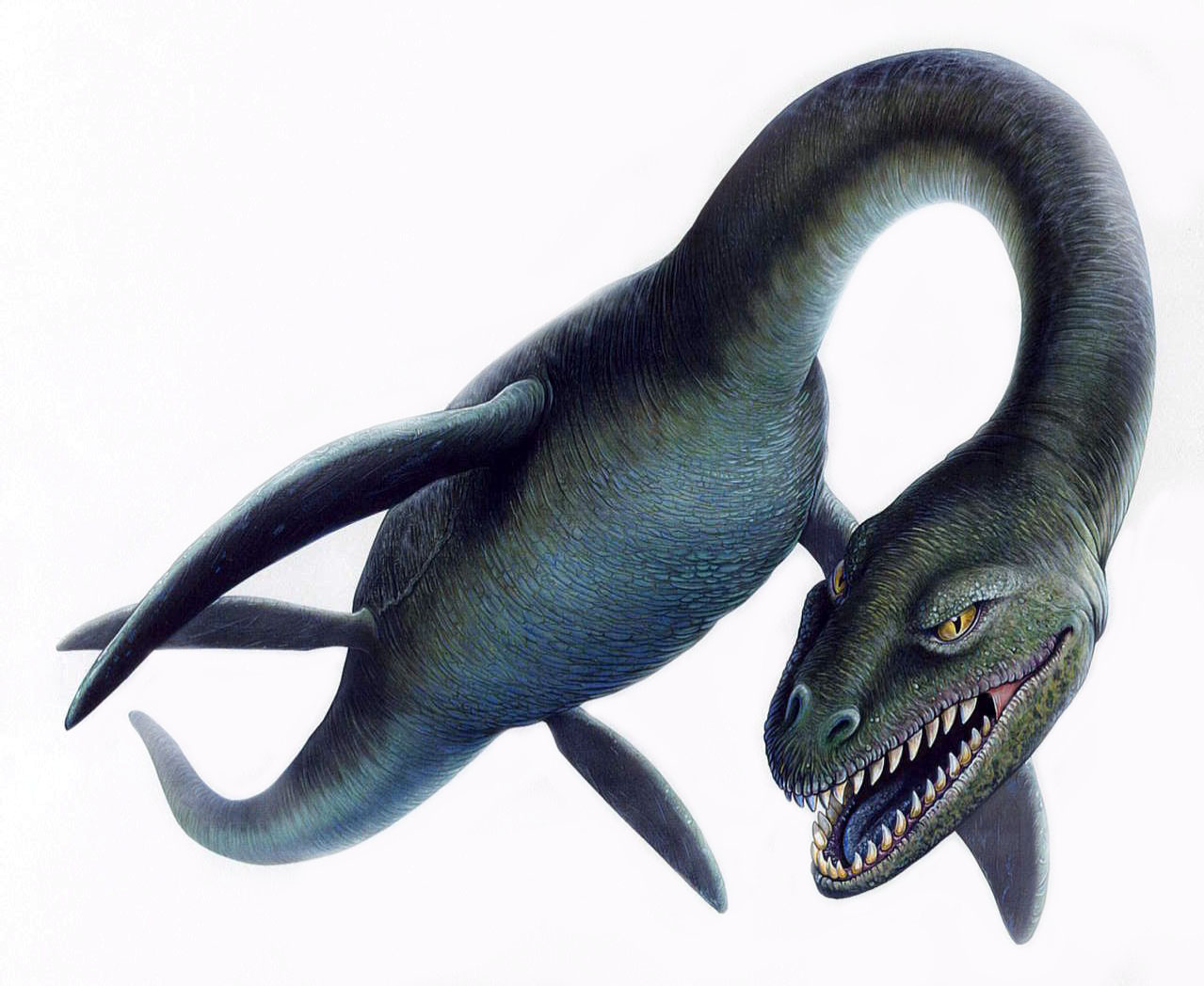 Loch Ness Monster PNG - 70689