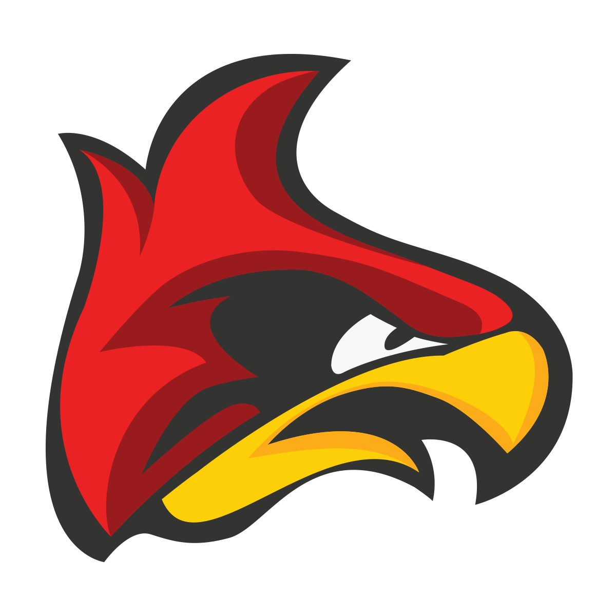 Collection of Logo Arizona Cardinals PNG. | PlusPNG