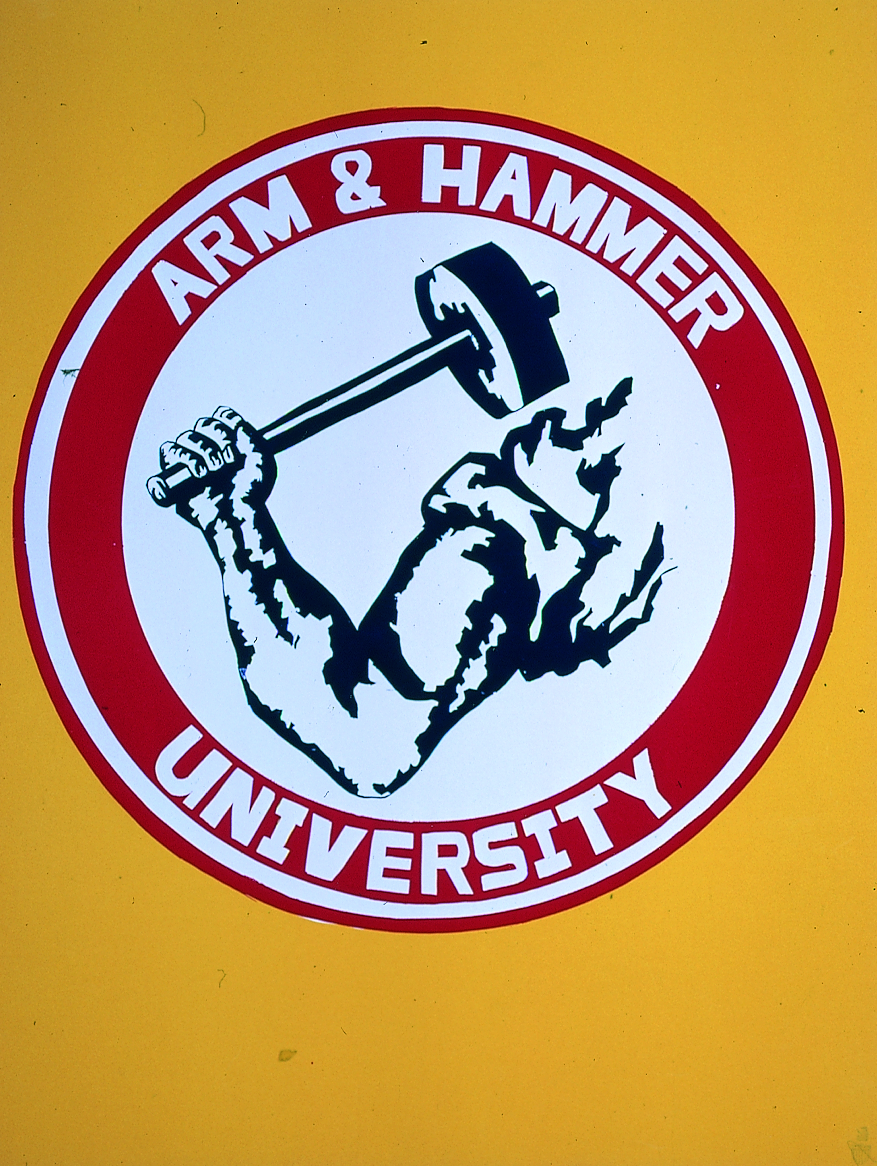 Logo Arm And Hammer PNG - 105669