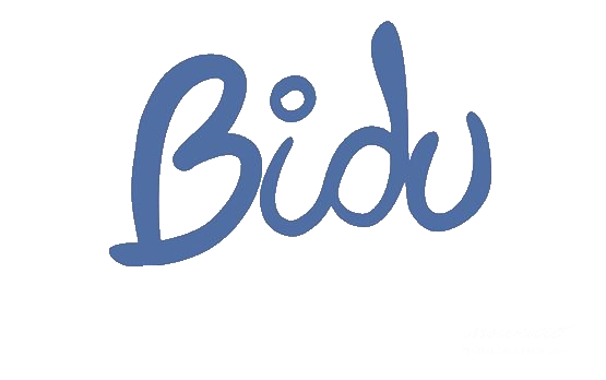 Logo Bidu PNG - 36997