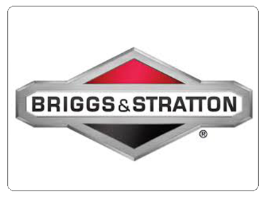 Logo Briggs Stratton PNG - 30824