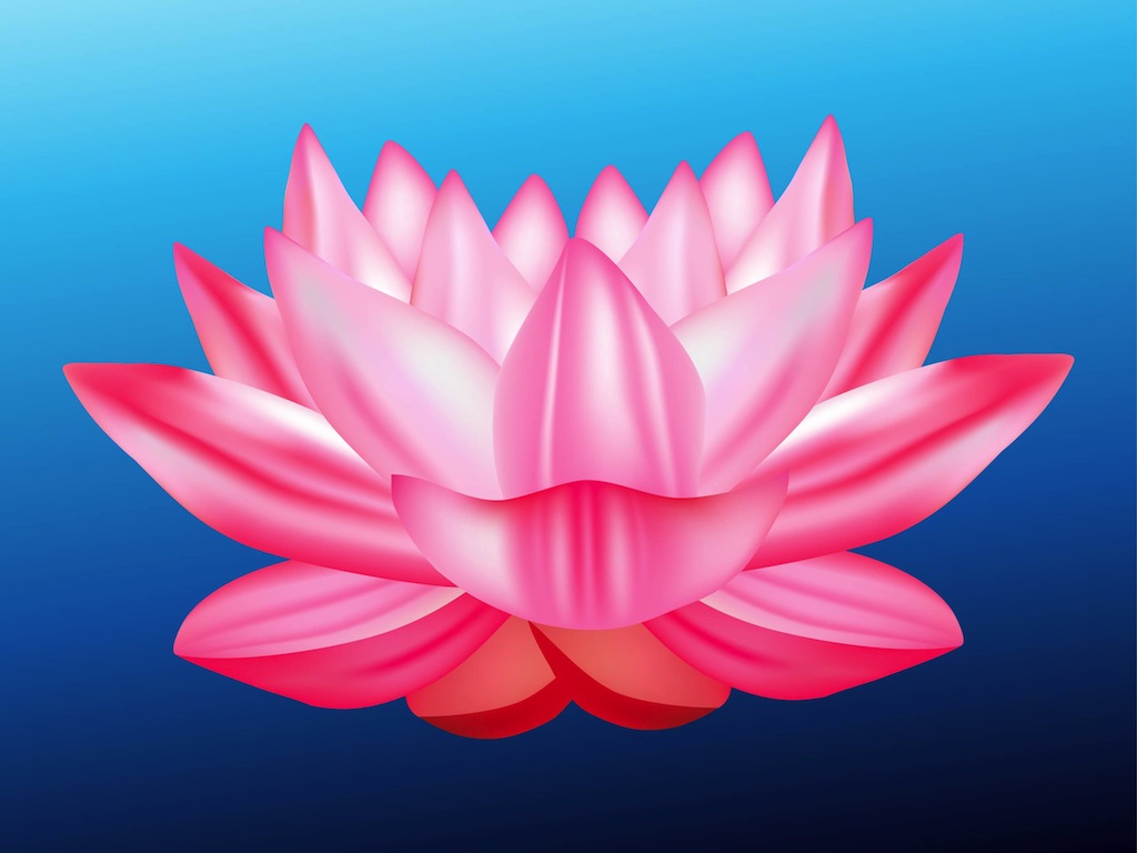 Lotus Flower PNG HD - 130883