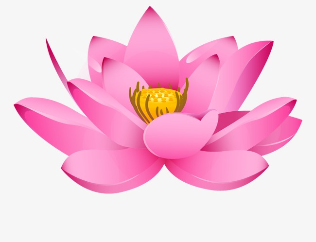 Lotus Flower PNG HD - 130879