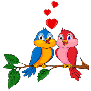 Love Birds PNG - 8450