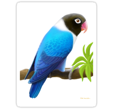 Lovebird PNG HD - 138960