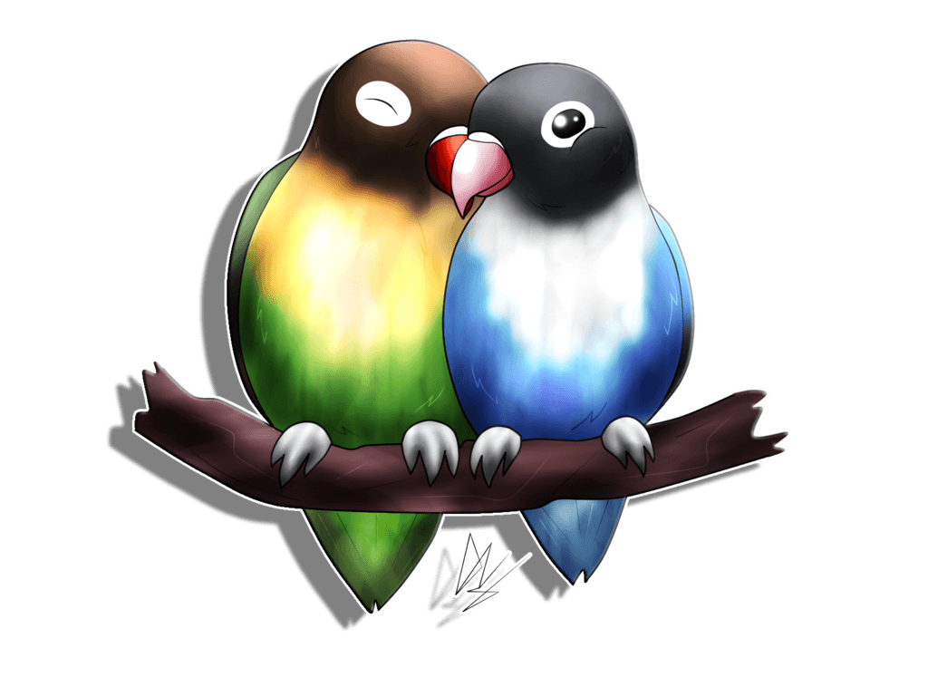 Lovebirds PNG HD - 142828