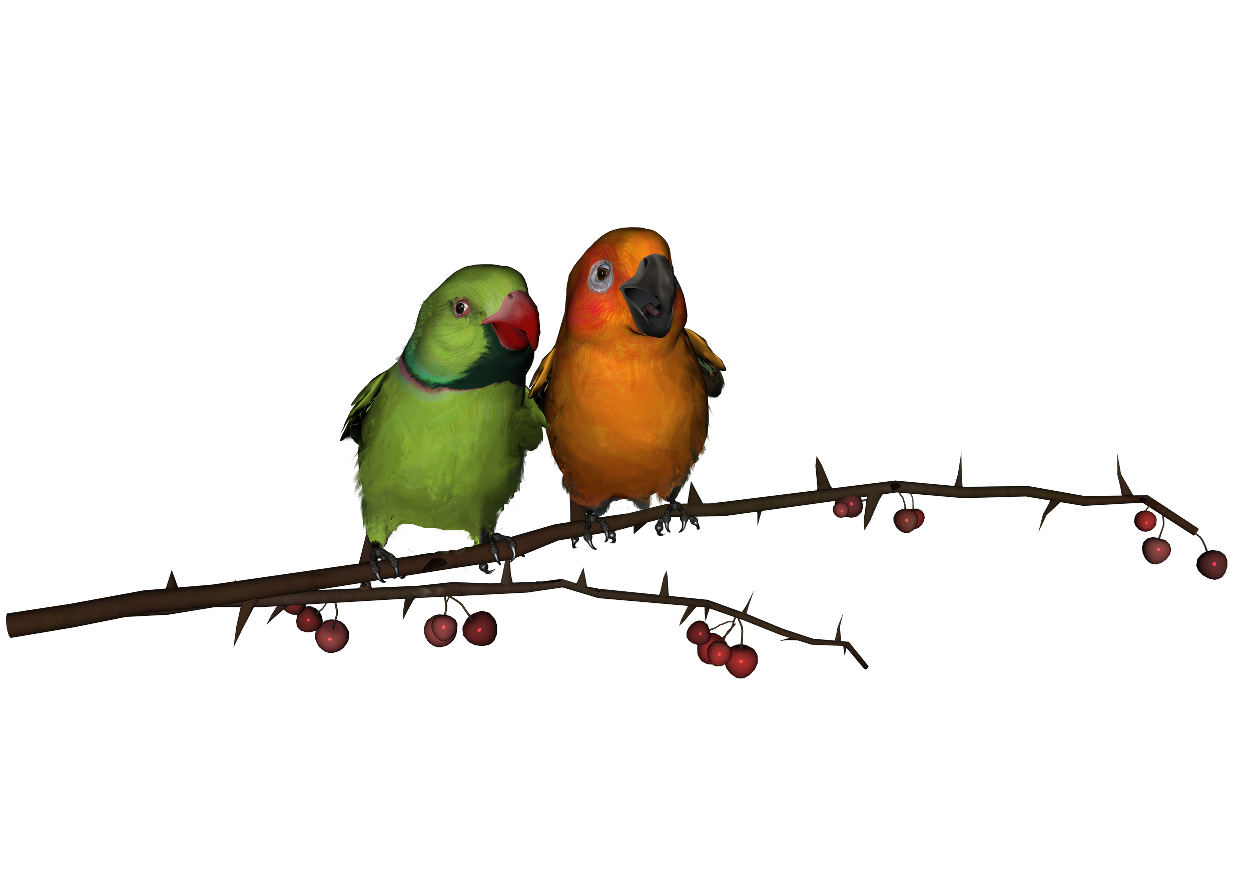 vector love birds hand-painte