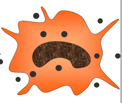 Lysosome PNG - 61193