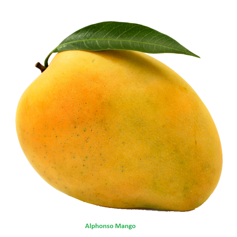 Mango Transparent PNG Image