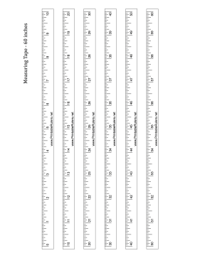 Measurement PNG Ruler - 75211