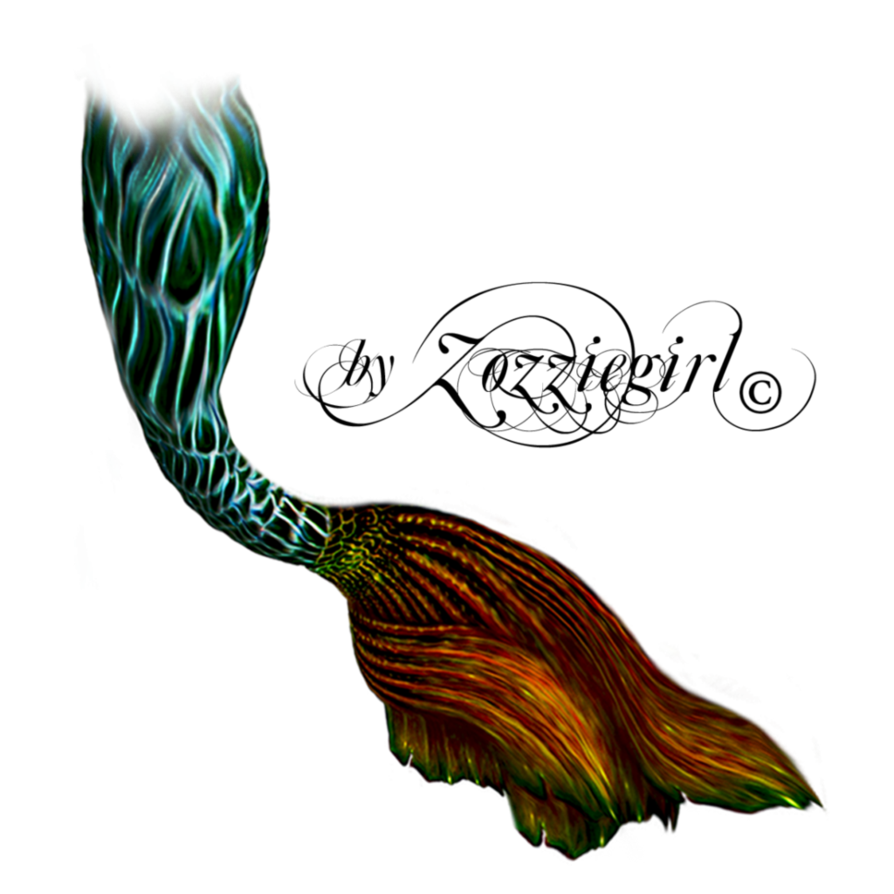 Mermaid Tail PNG - 19850