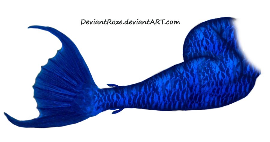 Mermaid Tail PNG - 19829