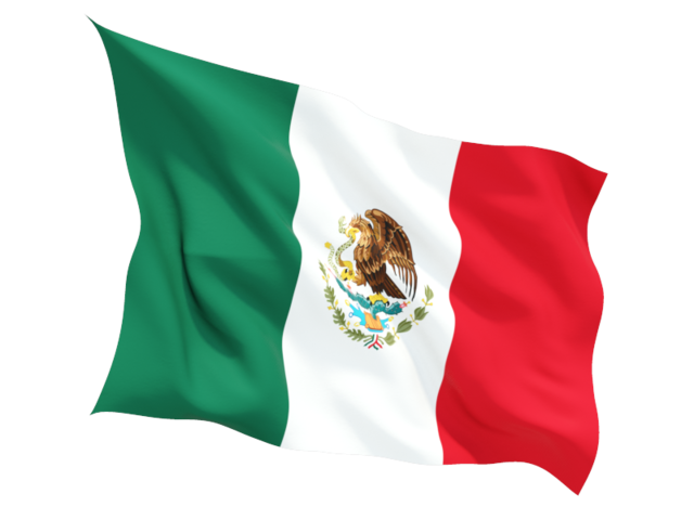 Flag Of Mexico #1