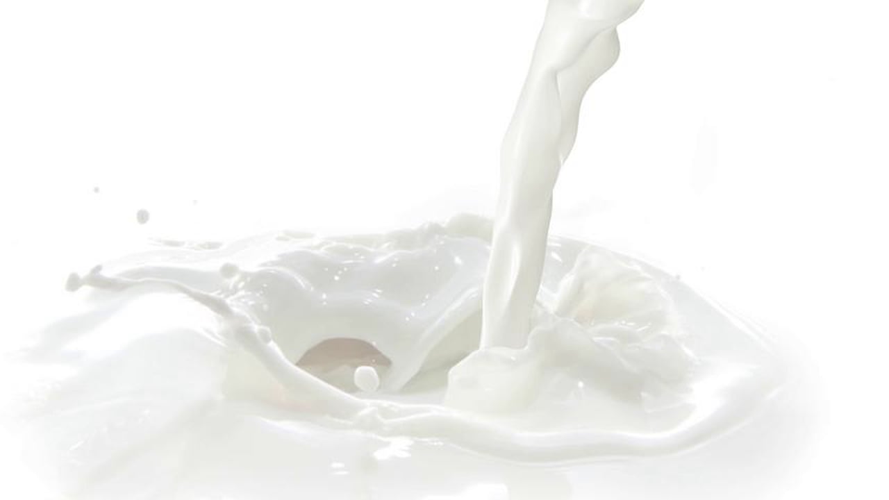 Milk PNG HD - 120604