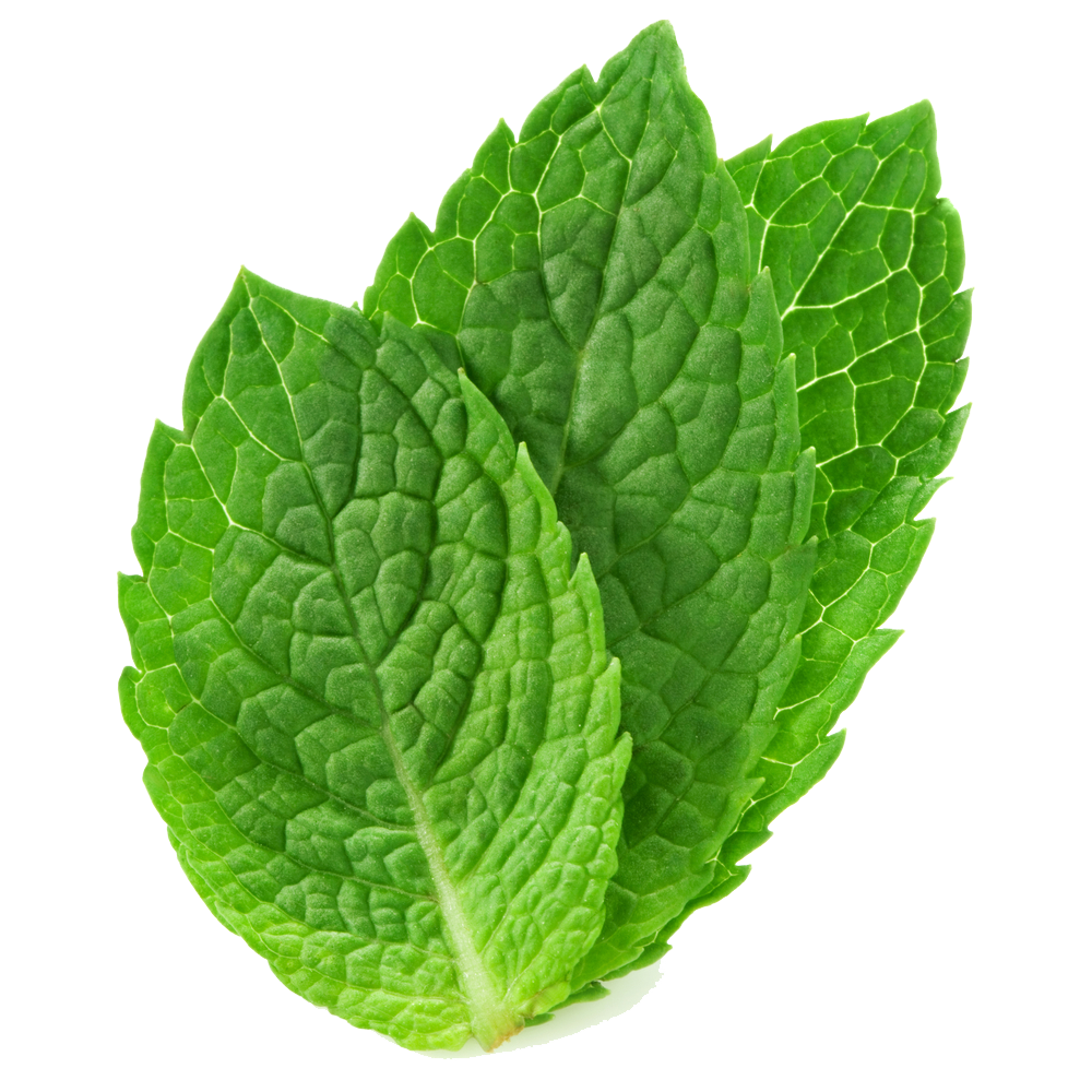 Pepermint PNG
