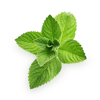 Three mint leaves