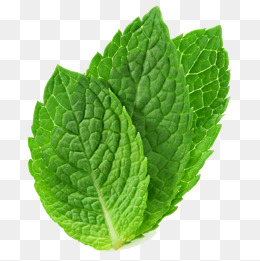 Three mint leaves
