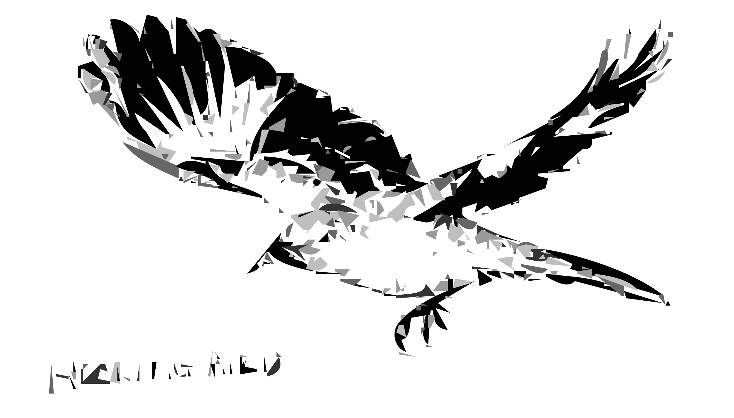 Bird, Silhouette, Mockingbird