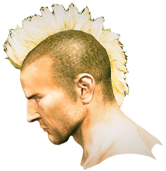 REAL_Hairy_Military_Mohawk3.p